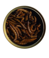 ONTO Зофобас консервированный, 40 г [уценка]