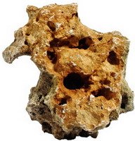 Декорация природная PRIME Дырчатый камень