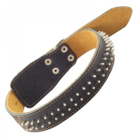 Ошейник кожа Ц4-01400 36 [2] двойной еж