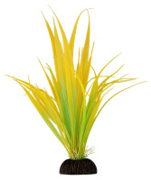 2560 Растение Ихинодорус тинэлус 25см Триол