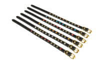 Амуниция Ошейник №12 украшенный ширина 12 мм., обхват шеи 22-28 см. 1202