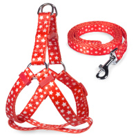 Триол Комплект шлейка и поводок нейлоновый "Звездочки" XS, 10*260-350 мм.; 10*1200 мм.