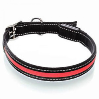 Ошейник для собак Зивер светящ 2,5*75 см красный