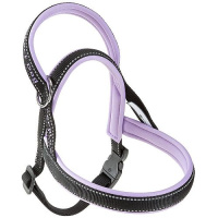 190098063fb1c7a73856b9c95d3b74b9