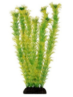 2956 Растение Амбулия желто-зеленая 29см Триол