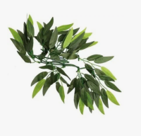 Растение 001TP "Рускус", 400мм, Repti-Zoo