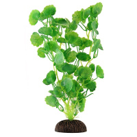 2581 Растение Гидронотеле элеганс 25см Триол