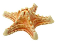 Россия Грот Звезда большая Краснодар,