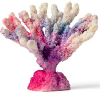 Россия Коралл акабария, 9*5*7 (оранжевый)