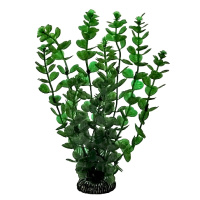 2561 Растение Бакопус 25см Триол