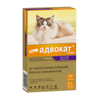 Advokat_dlya_koshek_vesom_ot_4_do_8