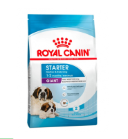 Royal Canin Джайнт Стартер сухой корм для щенков и кормящих собак средних пород (4 кг)