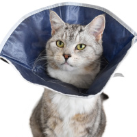 Kruuse защитный воротник для кошек и маленьких собак мягкий