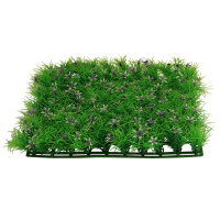 Растение "Коврик цветущий", 250*250*50мм Триол