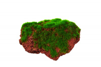 PRIME Декорация пластиковая "Камень с мхом малый", 9*6,5*5 см.