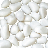 3cefj8et523wn4716p4x562gqrh7hrdt