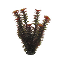 2577 Растение Амбулия супер красная 25см Триол