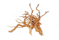 Россия VladOx Коряга "Паучий корень" Slim Wood 30-50 см [цена за шт] (30-50 см)