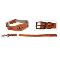 Триол 1269 YS Ошейник+поводок 3.5 х 65 2.0 х 120