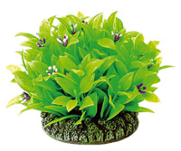 5610163 Растение ДЕЙЗИ 7 см пластик, блистер