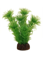 Растение "Амбулия" зеленая, 100мм