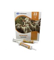 Шприц Неоклокс 8гр