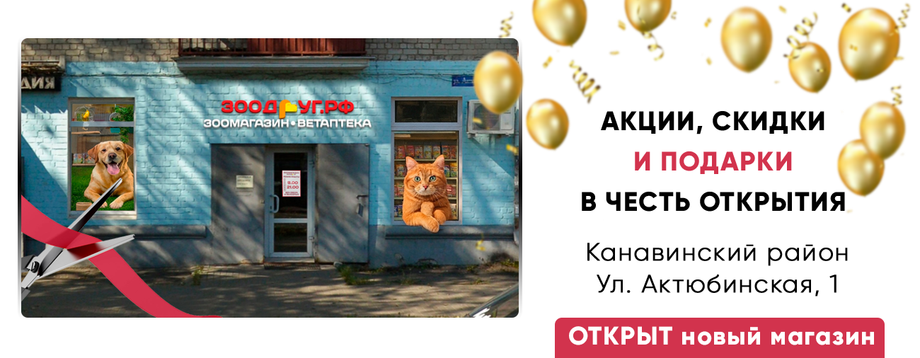 Открытие новых магазинов