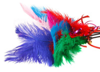 И-26 Дразнилка для кошек "Страус"