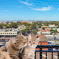 Защитная сетка на балкон CAT NET [нейлон] Ферпласт (XL, 800*h300)