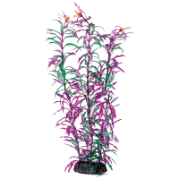 Растение "Людвигия" красно-зеленая Laguna (400 мм)