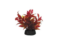 3456 Растение Альтернантера красная 80мм Триол