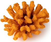 Россия Коралл брокколи, 14*13*7 (оранжевый)