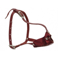 Намордник кожаный цельнокроеный йоркширский терьер