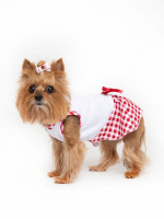 ixpilb65jz27y4wferoseqb1t3ual1jx