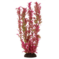 3456 Растение Альтернантера репинс 34см Триол