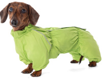 Gamma Комбинезон демисезонный "Такса" зеленый (S, длина 36см)