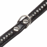 Ошейник DAVID АКВА (аква черный 202809)