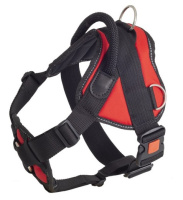 22acf7c2_76a1_11eb_8112_a0d3c1f100d5_251