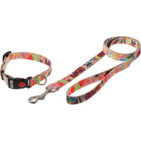 Комплект "Фотопринт-Фр. Бульдог" 20 мм [ошейник [с фикс. замка] + поводок 1,27 м, нейлон] BUB14