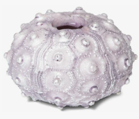 Грот Ангкор Ват, 230*195*185мм, Laguna