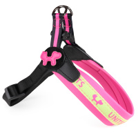 Шлейка United Pets для собак Complete me 2,5 x 40-54 см, розовая с желтым