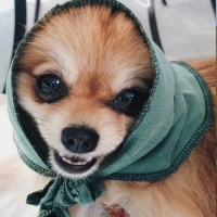 igymr035ov2y2mmqe5yznuff0j6krbao