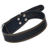 Ошейник кожа Ц5-01200 Гамма 45мм одинарный