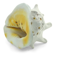 Декор д/акв.КА-240 "Кассис корнута"