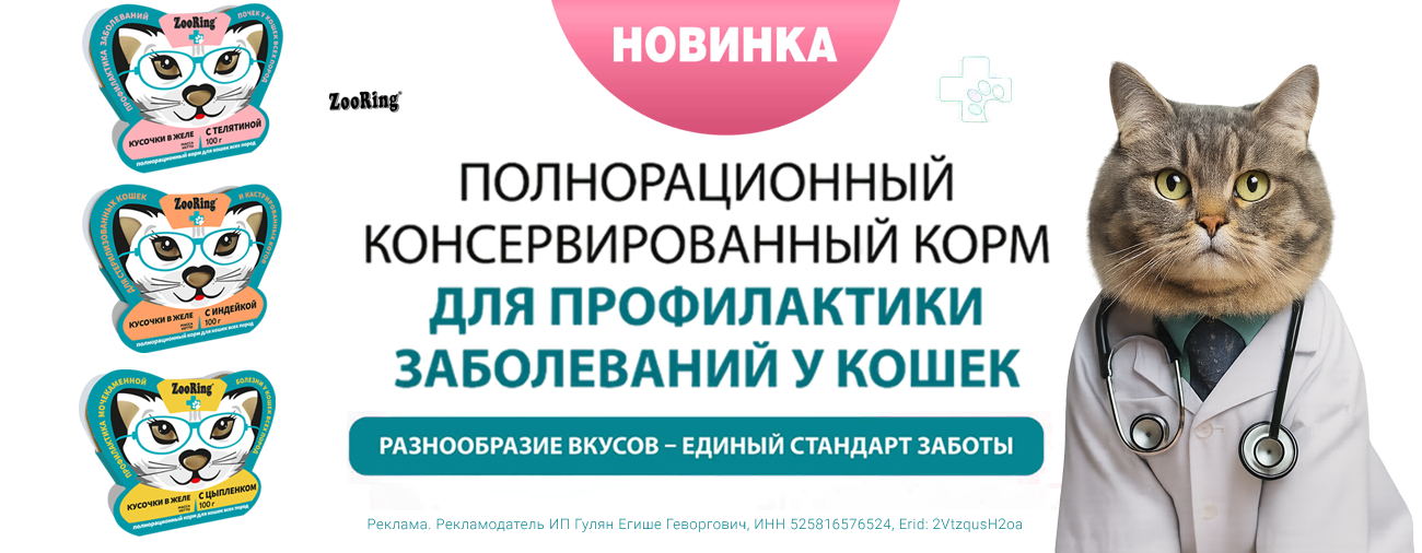 ZooRing - Влажный полнорационный корм ПРОФИЛАКТИКА ЗАБОЛЕВАНИЙ ДЛЯ КОШЕК 