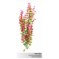BARBUS 025/20 см. Plant красное растение