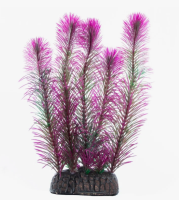 Растение "Перистолистник" фиолетовый, 200мм