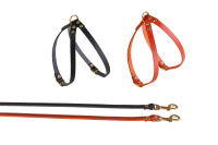 Амуниция Комплект №8 [поводок 8 + шлейка] кожа 456
