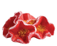 Грот 2907LD Коралл ФУНГИЯ 55*45*25мм