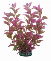 2563 Растение Альтериантера 25см Триол